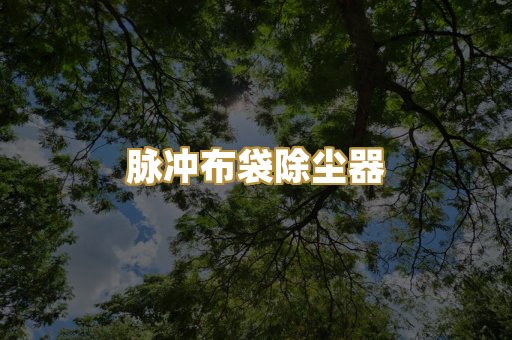 脉冲布袋除尘器